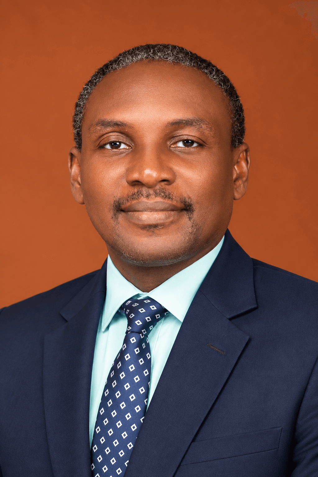 Engr. Uche Ngonebu
